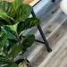 Кварцвиниловая плитка ПВХ Alpine Floor ECO 3-18 Easy Line ДУБ ЛЕСНОЙ клеевая 