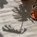 Виниловая плитка VINILAM Glue 20468 Дуб Ален клеевая